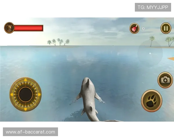 《电子小鲨鱼游戏的创造者揭秘及其背后的设计理念与成功之道》